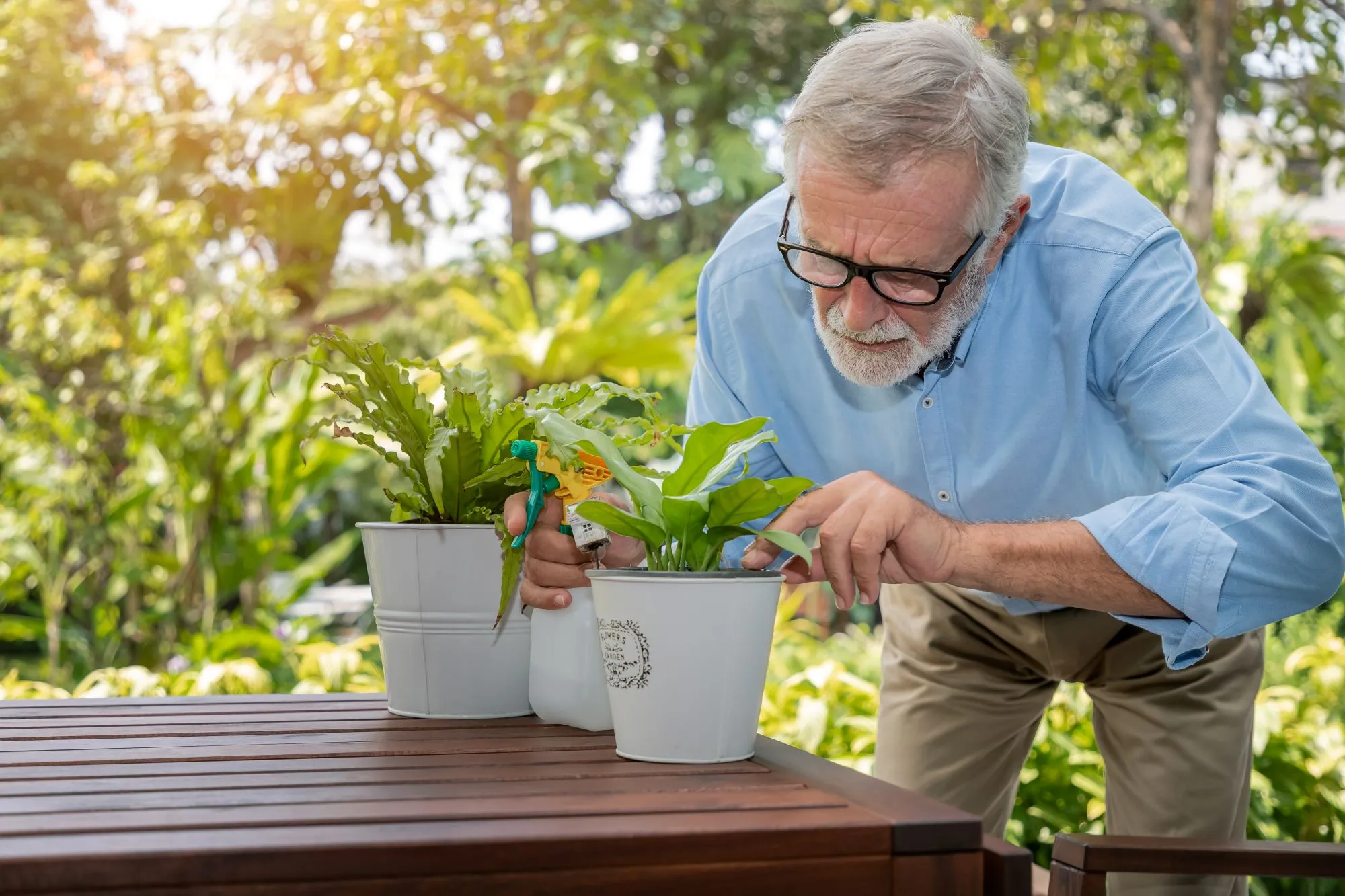 Senior man watering a small tree in his garden, practicing gardening for health.